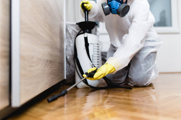 Best Cockroach Control Services  in Geneseo, IL