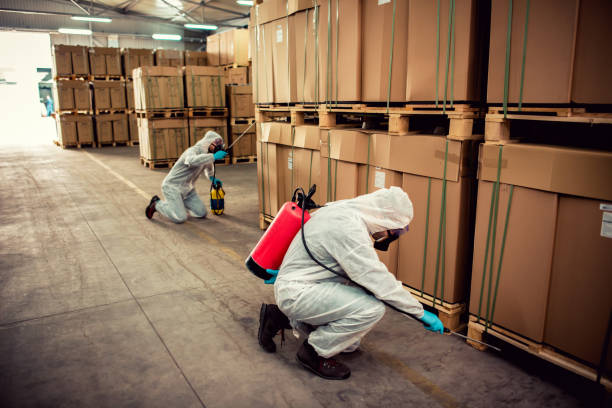Best Local Pest Control Services  in Geneseo, IL