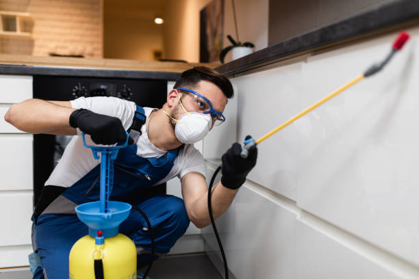 Best Flea Control Services  in Geneseo, IL