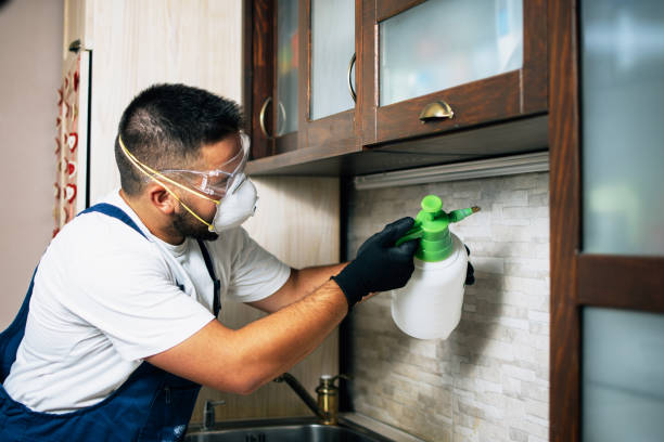 Best Wildlife Control Services  in Geneseo, IL