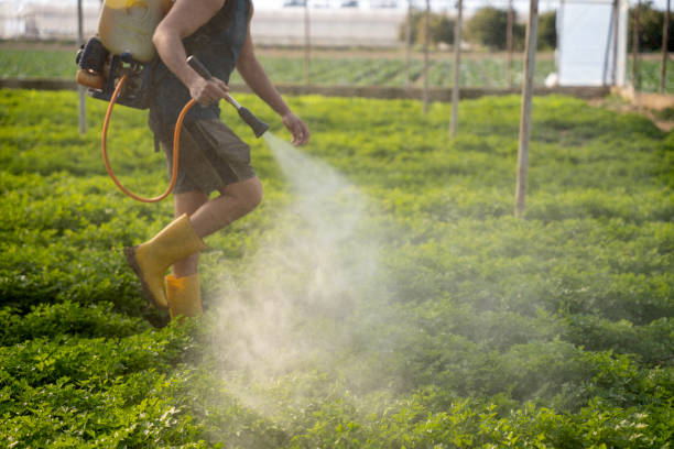 Best Emergency Pest Control  in Geneseo, IL