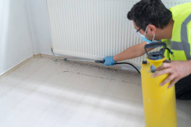 Best Best Pest Control Companies  in Geneseo, IL