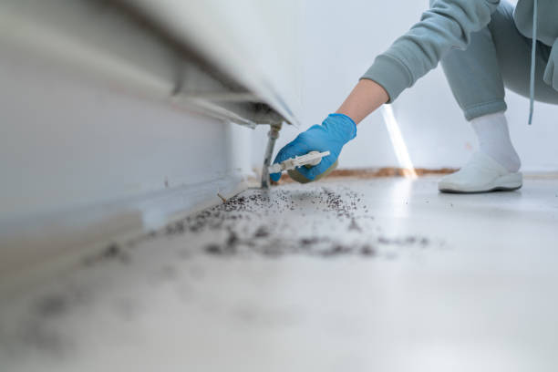 Best Pest Removal Services  in Geneseo, IL